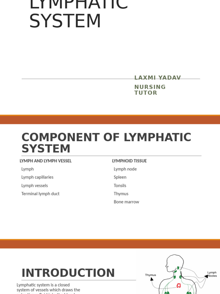 Lymphatic System | PDF