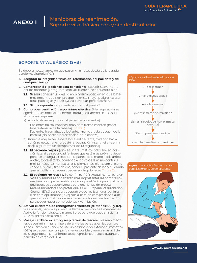 Maniobras de Reanimación en SVB | PDF | Reanimación cardiopulmonar ...