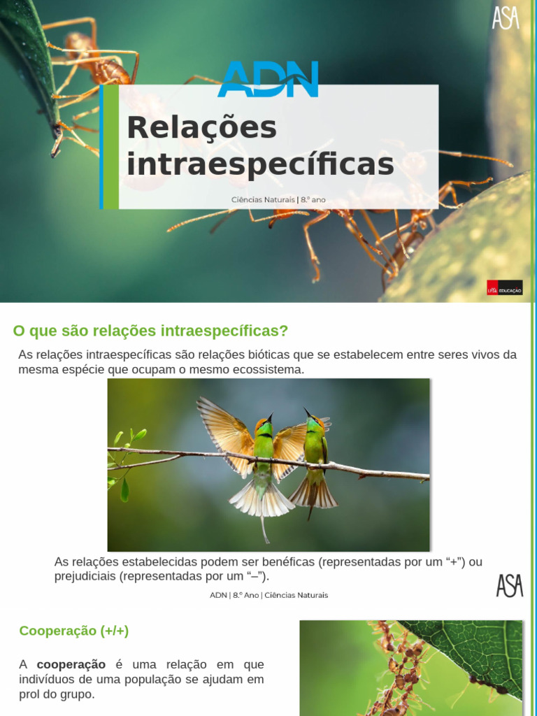 Relações Intraespecíficas Explicadas | PDF | Concorrência | Organismos