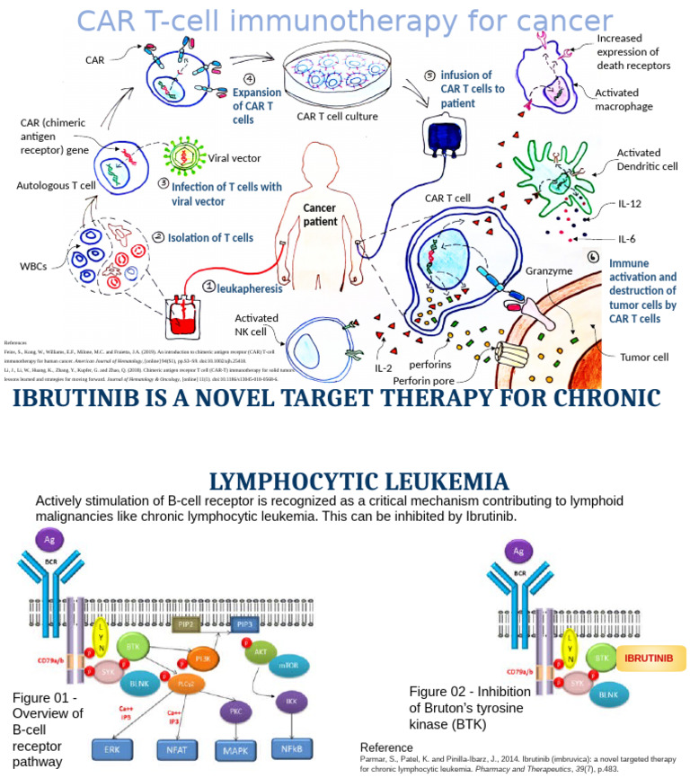CAR T-Cell Immunotherapy Overview | PDF | Immunotherapy | T Cell