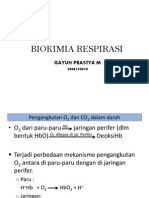 Biokimia Respirasi