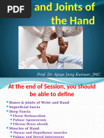 Kaplan's Cardinal Line in Hand Anatomy | PDF | Hand | Finger