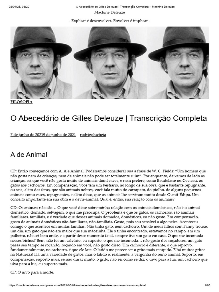 José Carlos, o mestre das expressões… 😂🧡 Quais outras legendas você daria  para essa foto? 👇 #meme #memecachorro #cachorro #humor #casadopluto  #crechecanina #crechecaninacuritiba, image size:768x1024