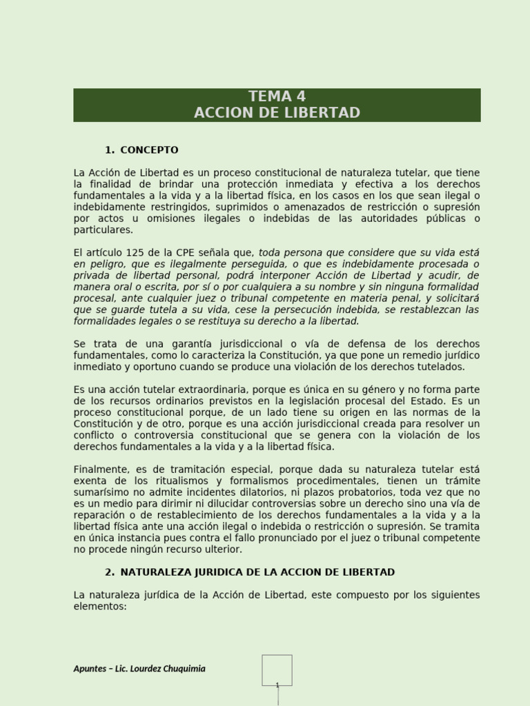Tema 4 Accion de Libertad 15 Agosto 2024 | PDF | Ley procesal | Debido ...