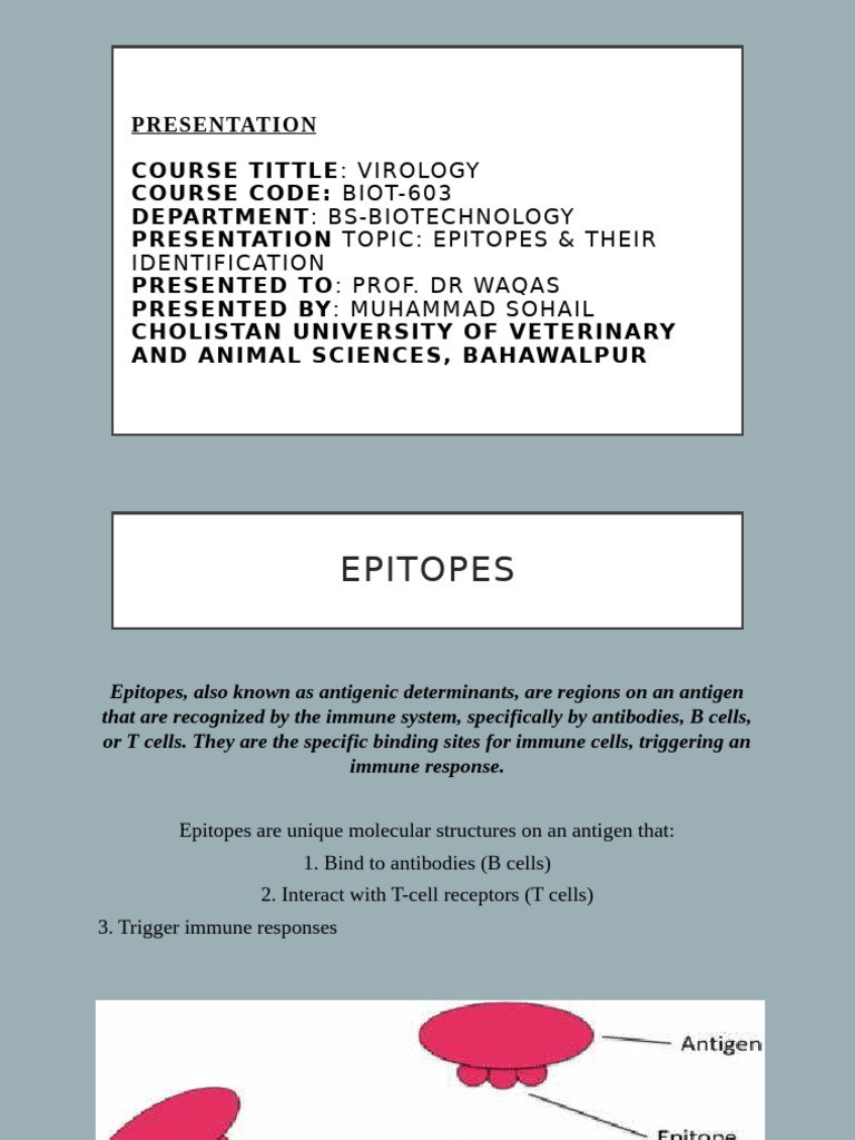 Epitopes: Identification and Applications | PDF | Epitope | Antigen
