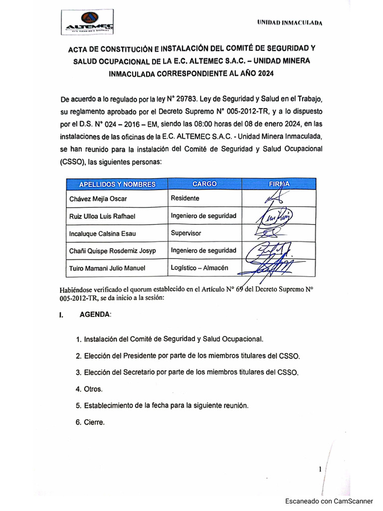 Acta de Constitución Del CSST | PDF