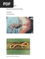 APOSTILA PARASITOLOGIA