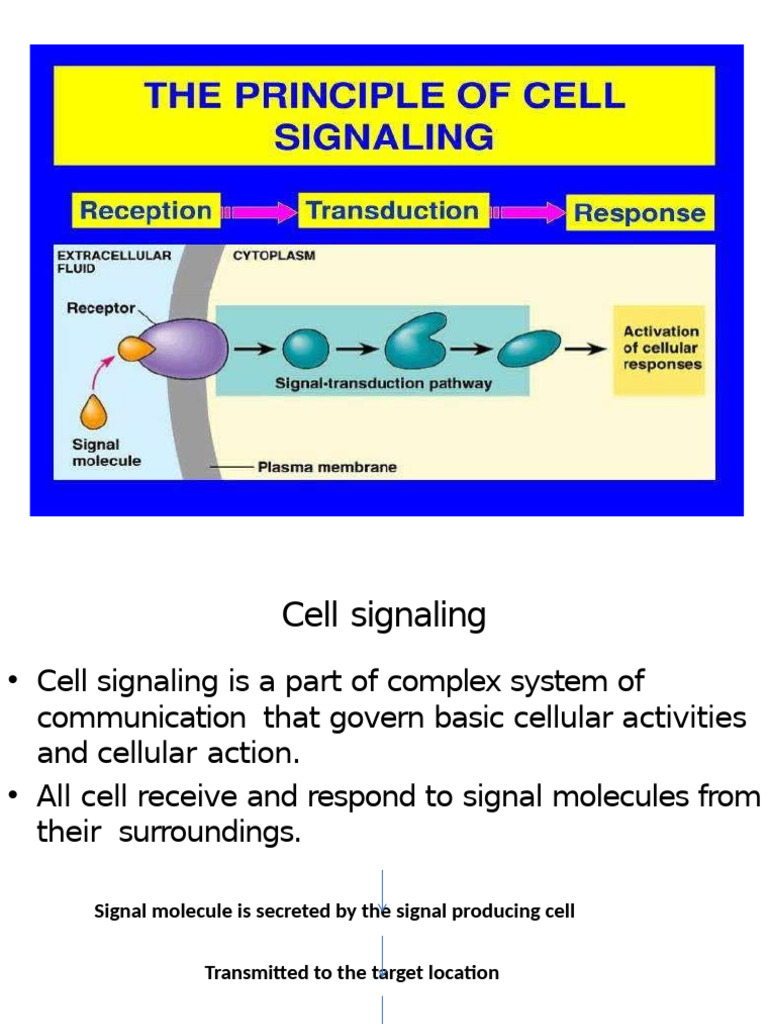 Cell Signallig Latest-1 | PDF | Cell Signaling | Receptor (Biochemistry)