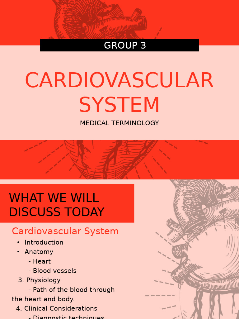 Group 3 Cardiovascular System | PDF | Heart | Circulatory System