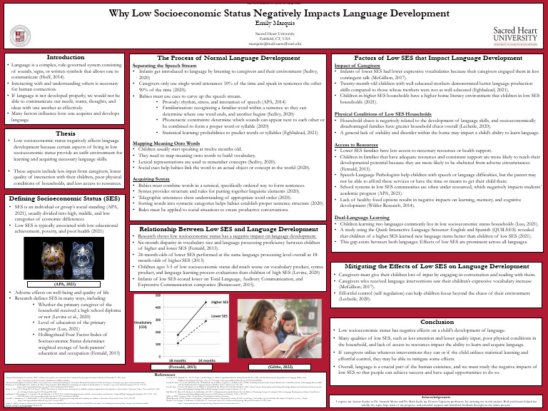 Impact of Low SES on Language Skills | PDF | Socioeconomic Status ...