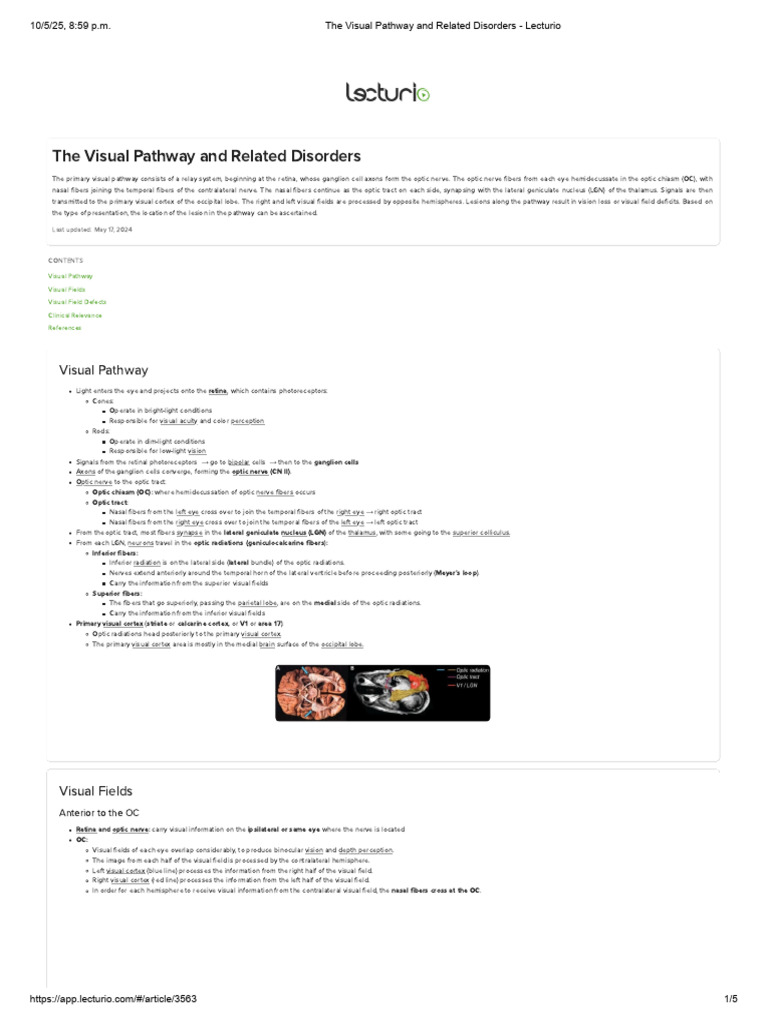 Visual Pathway and Disorders Overview | PDF | Visual System | Visual Cortex