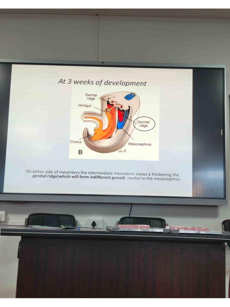 Repro System DR - MM Mon 12 May 25 | PDF