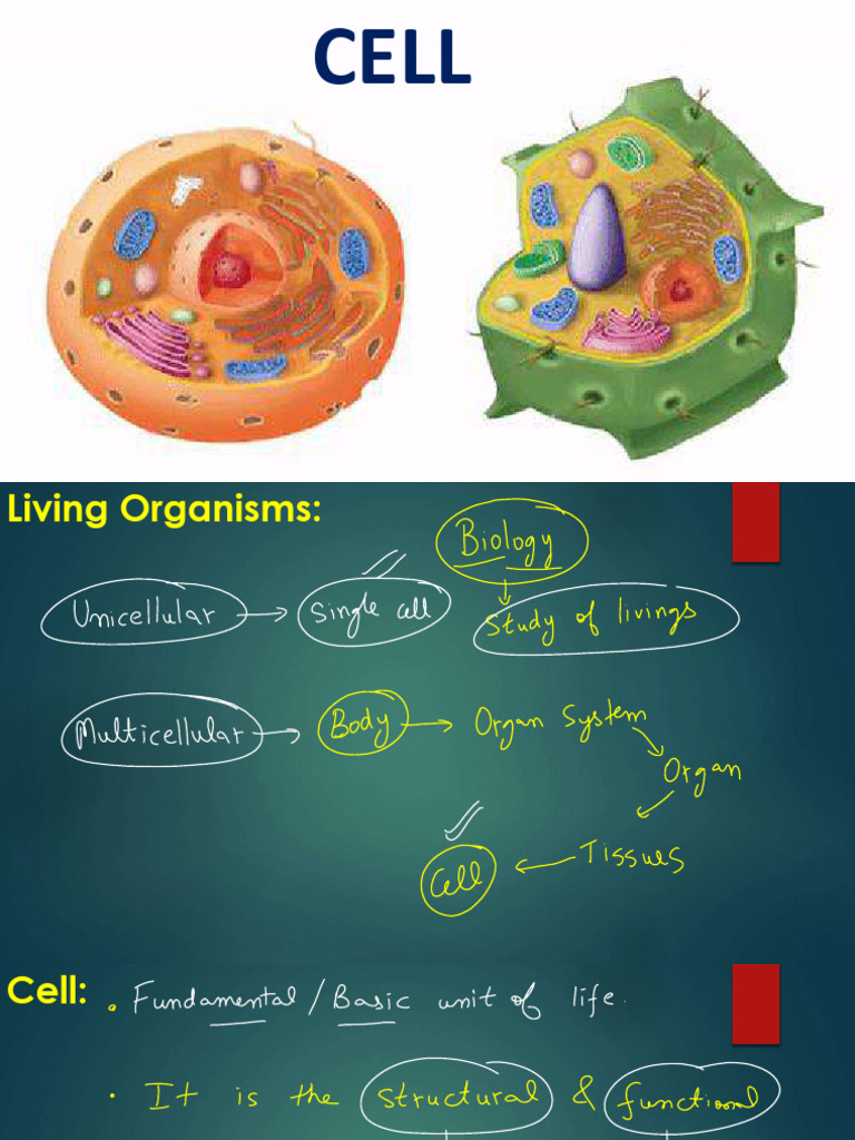 Complete Biology Notes - F6636dae E675 402d 9d2d A0e76f86c7a5 | PDF ...
