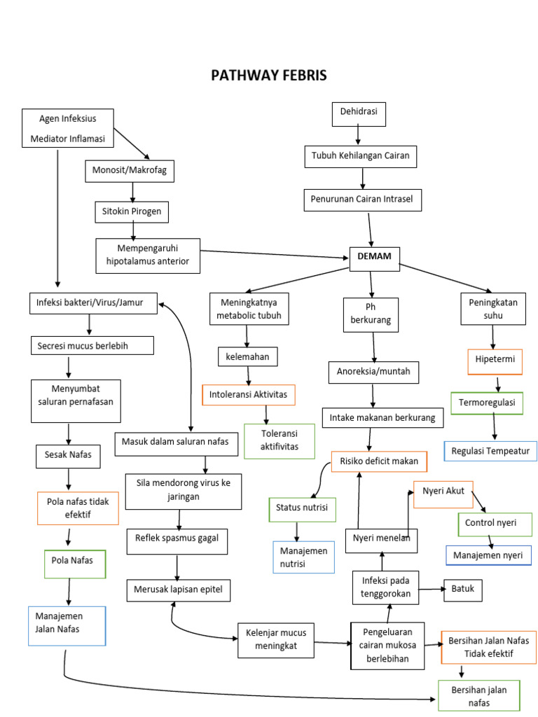 Pathway dan Penatalaksanaan Febris | PDF