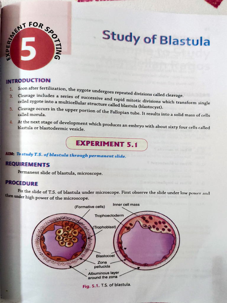 Biology Experiments Part 2 Pdf