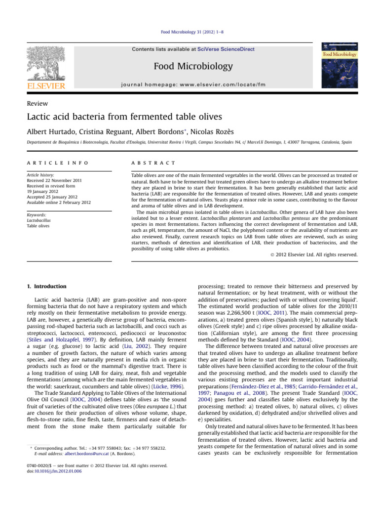 Lactic Acid Bacteria in Olive Fermentation | PDF | Lactobacillus | Olive