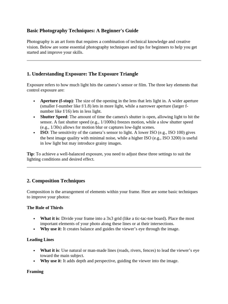 Beginner's Guide to Photography Techniques | PDF | Exposure ...
