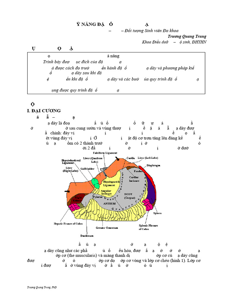 Bai Giang - Dat Ong Thong Da Day - Chương Trình Đ I M I BSDK 3.2021 | PDF