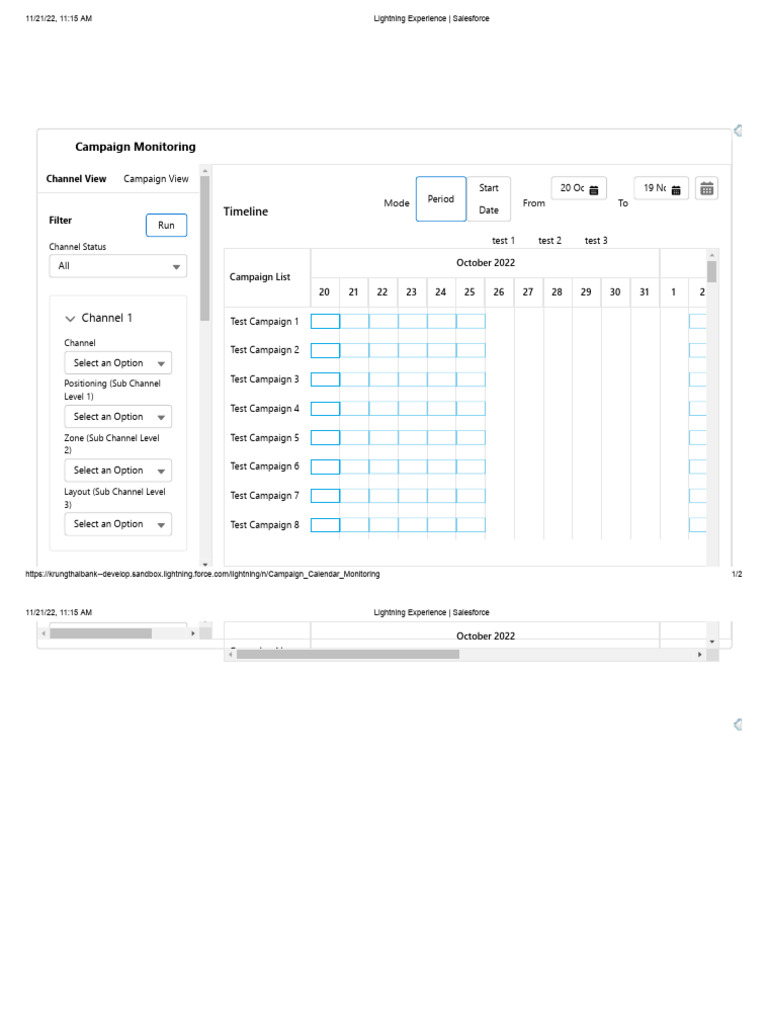 Salesforce Campaign Monitoring Tool | PDF