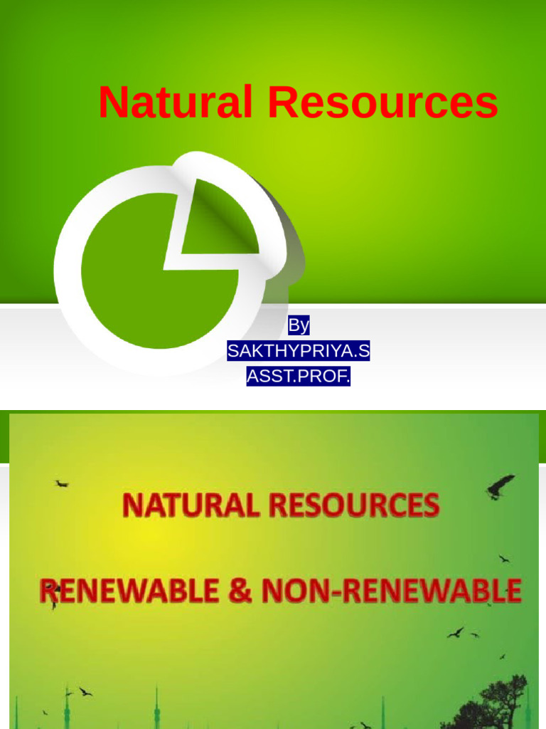 Natural Sources | PDF