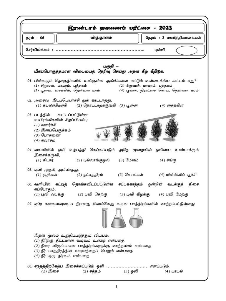G6 Science Mathugama 2023tm | PDF