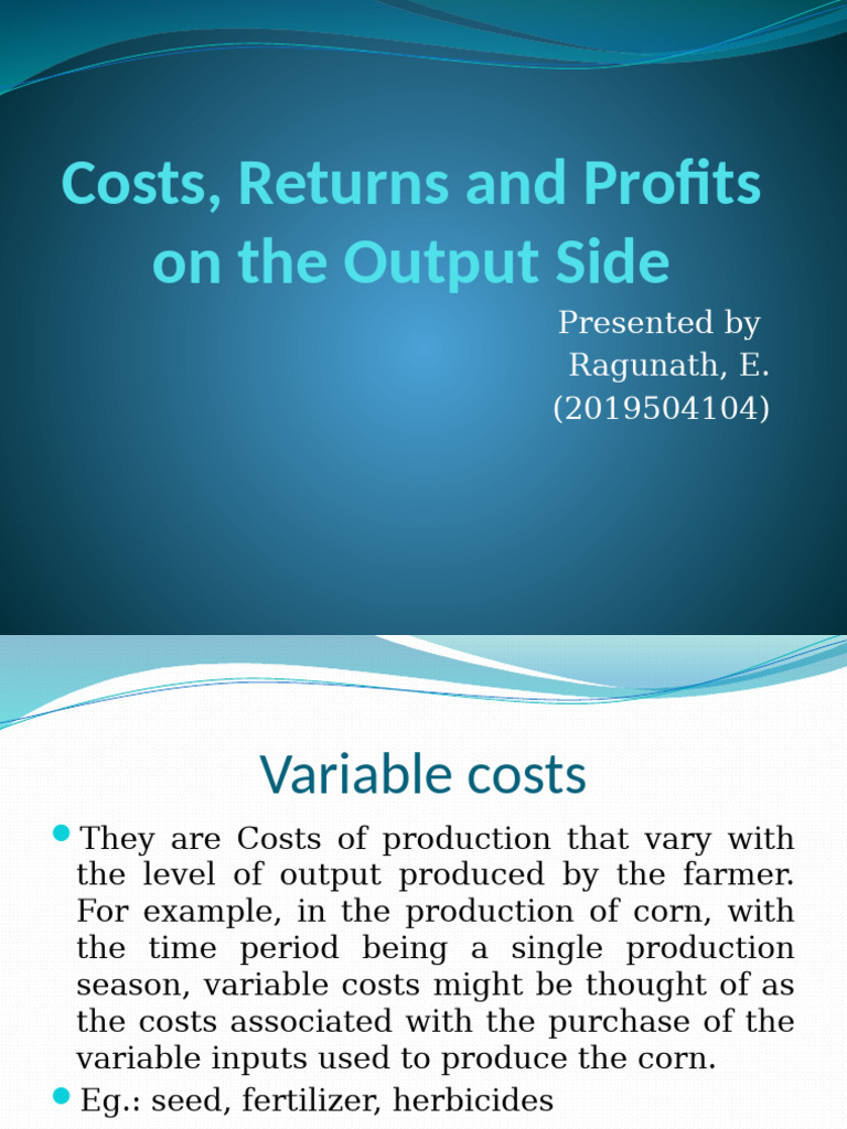 Costs, Returns and Profits On The Output | PDF | Production Function ...