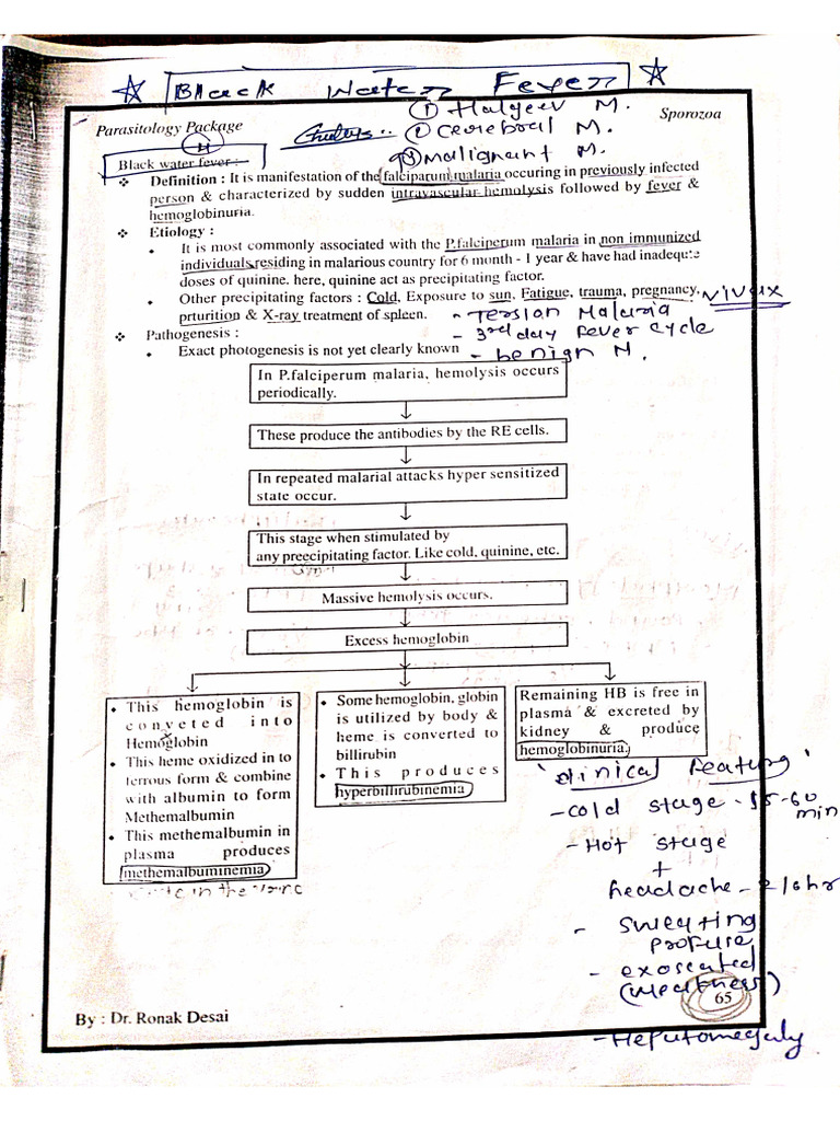 DocScanner 28 Jun 2025 11-05 | PDF