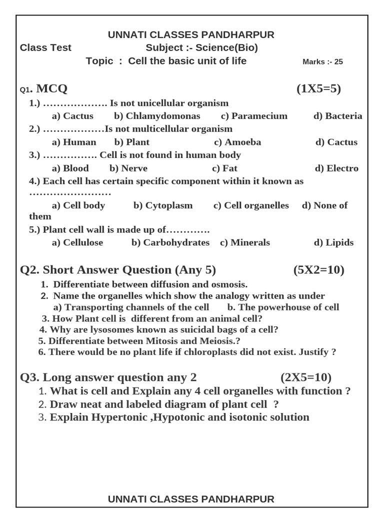 Cell Structure and Functions Test | PDF | Cell (Biology) | Organelle