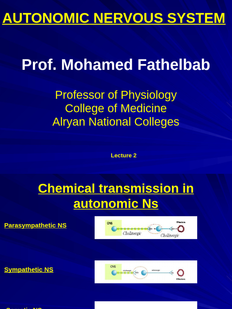 Autonomic Nervous System Overview | PDF | Acetylcholine | Norepinephrine