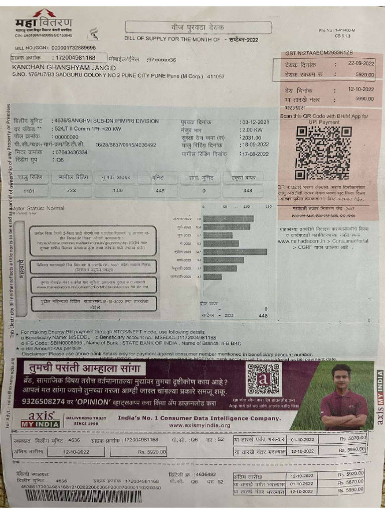 Light Bill | PDF