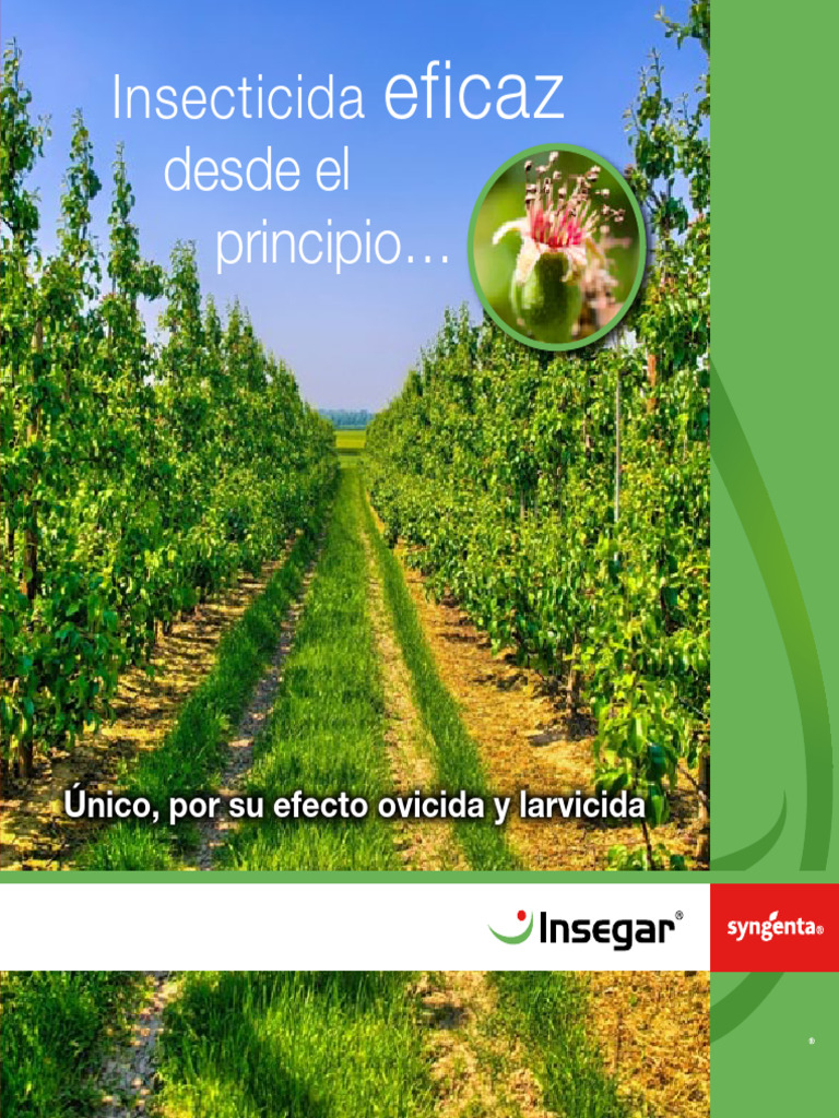 Insegar: Insecticida Ovicida y Larvicida | PDF | Insectos
