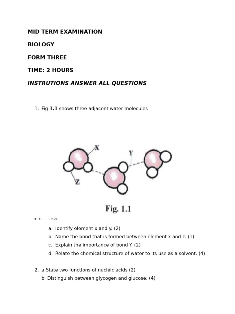 Form 3 Biology Mid-Term Exam Guide | PDF