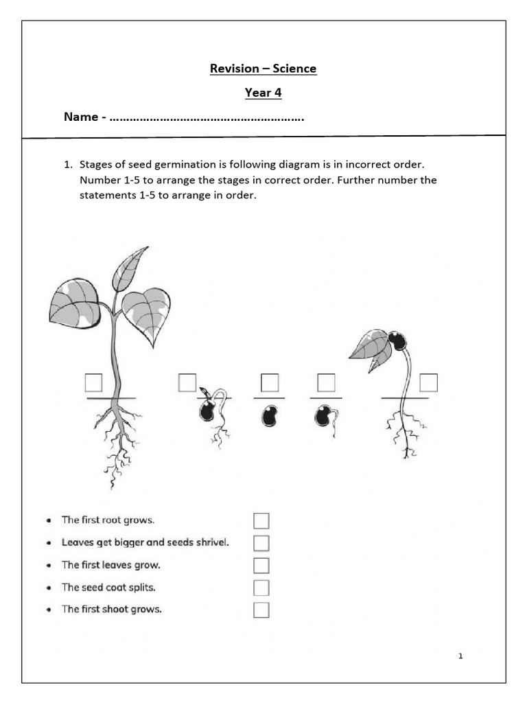 Revision Science Year 4 Name | PDF