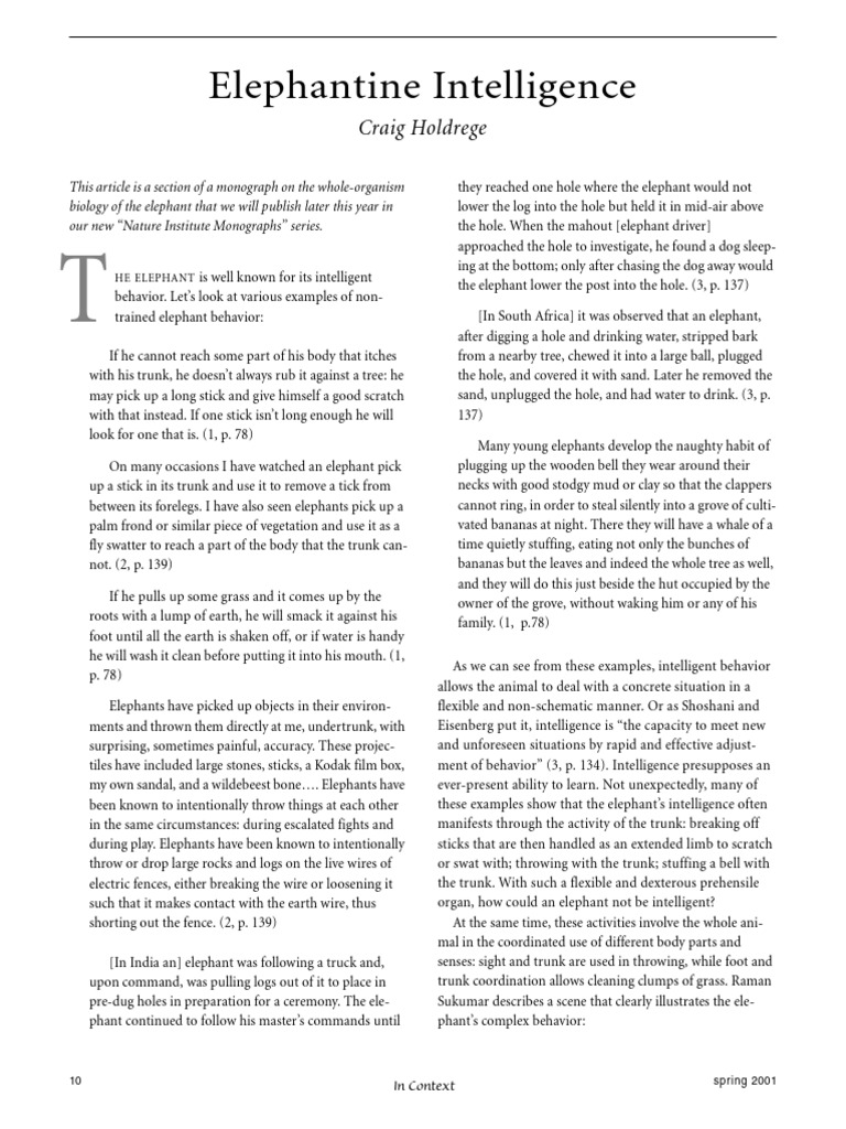 Elephant Intelligence and Behavior Insights | PDF | Elephant | Brain