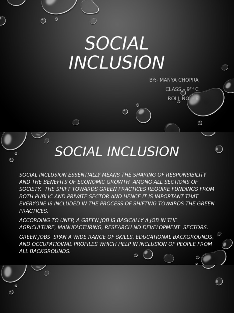 Social Inclusion | PDF
