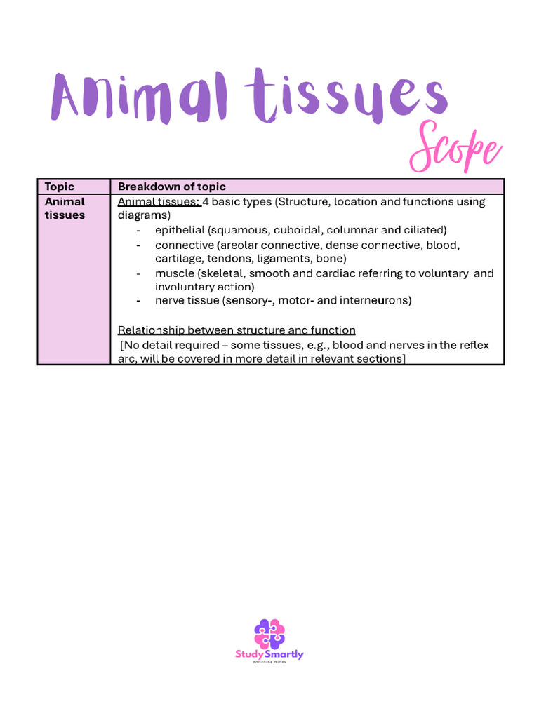 Grade 10 Animal Tissues Overview | PDF