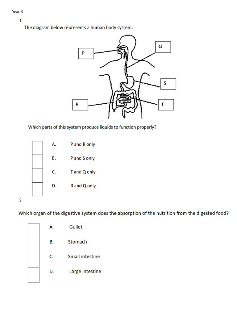 Year 8 Term 2 Revision Part 1 | PDF