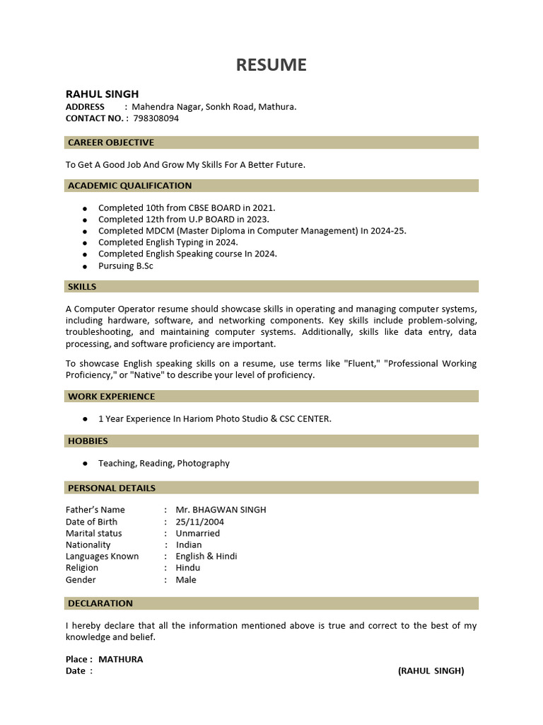 Rahul Singh's Resume for CSC Center | PDF