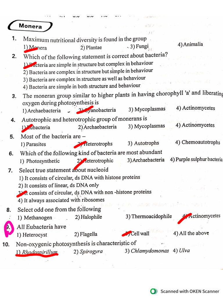 Kingdom Monera Conceptual MCQ | PDF