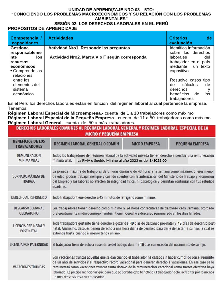 Derechos Laborales en Perú: Guía 2023 | PDF | Derecho laboral | Salario