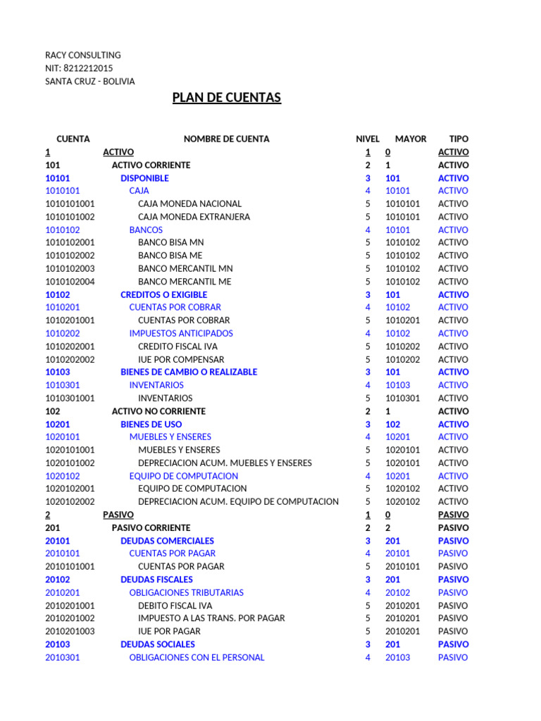 Plan de Cuentas RACY Consulting | PDF | Depreciación | Dinero
