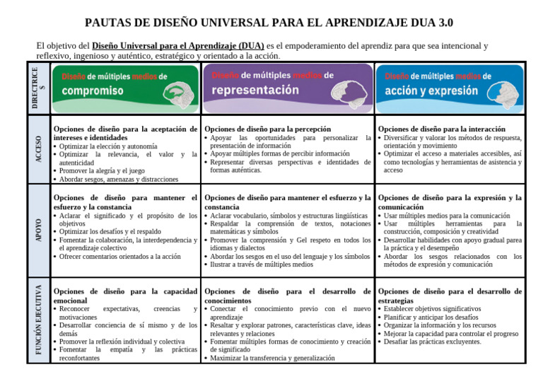 Pautas DUA 3.0 para el Aprendizaje | PDF | Aprendizaje | Diseño