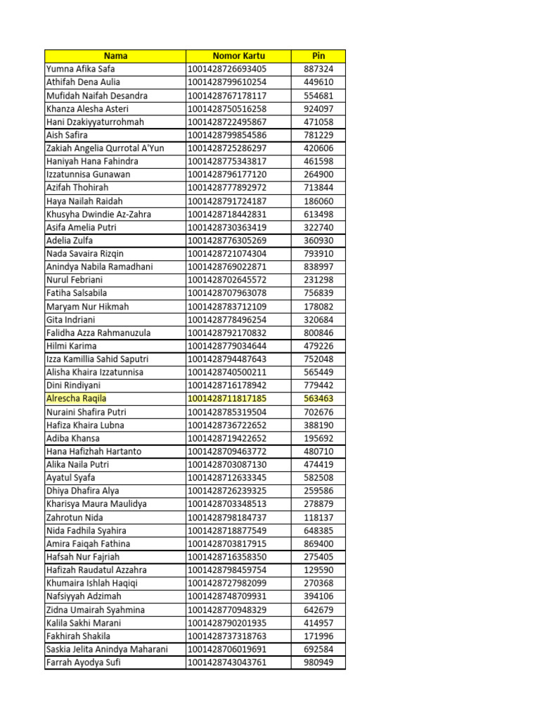User Data: Names, Card Numbers, Pins | PDF