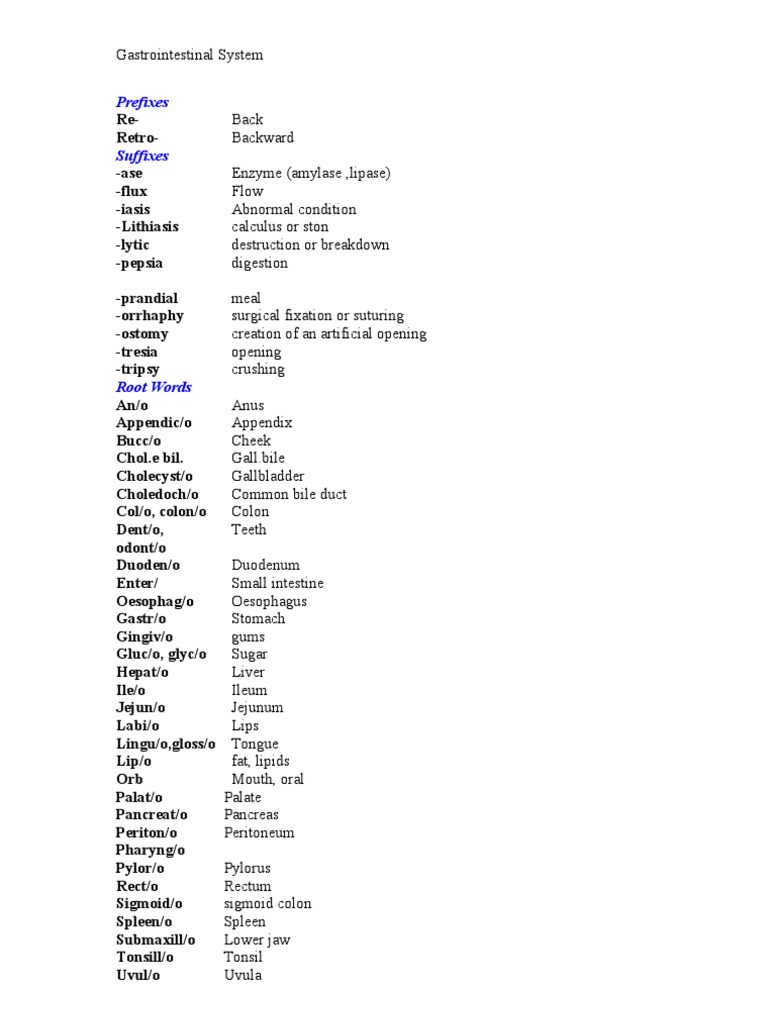 Adjectives in English – Types, Rules, and Examples visual data 3