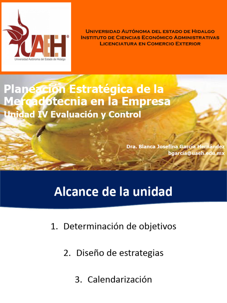 Estrategias de Mercadotecnia y Control | PDF | Producto (Negocio) | Marca