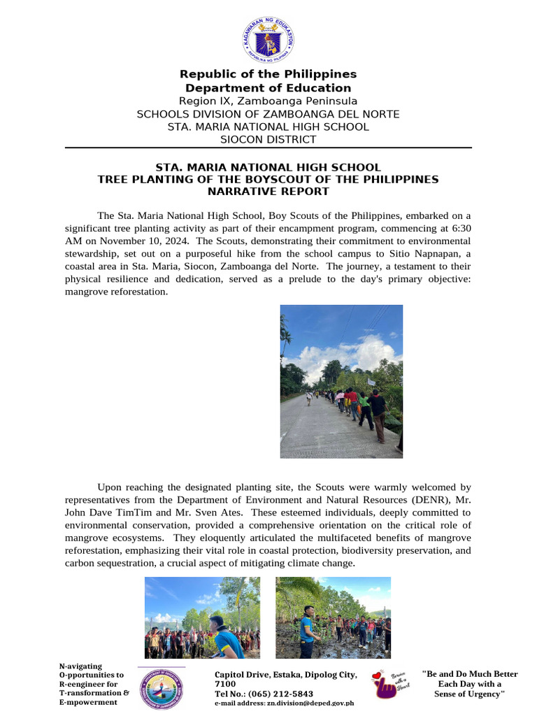 Boy Scouts Mangrove Planting Report | PDF | Mangrove | Ecology