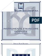 Brosura Instrumente Derivate