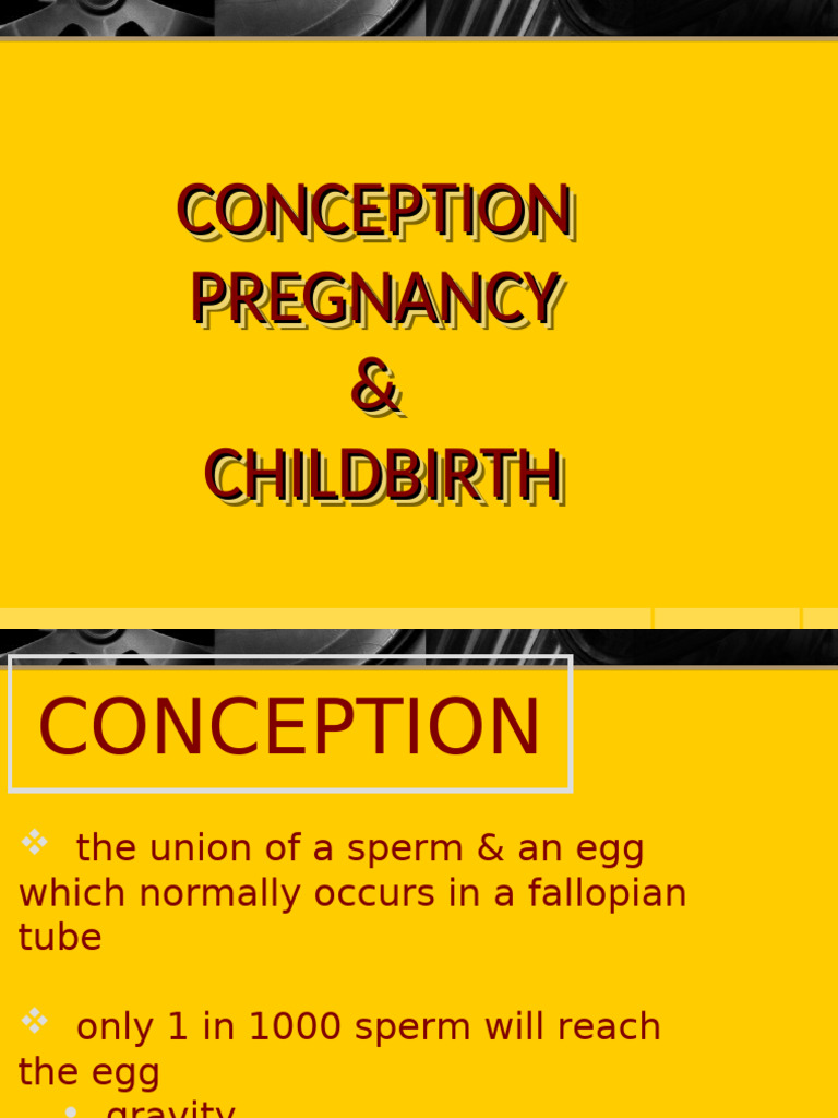Conception to Childbirth Overview | PDF | Childbirth | Pregnancy