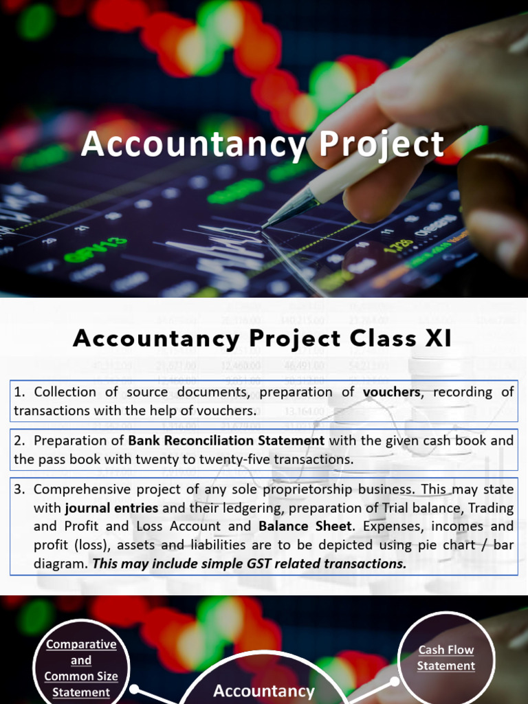 Accountancy Project | PDF