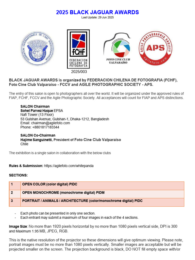 2025 Black Jaguar Awards - v1 | PDF | Pixel | Payments